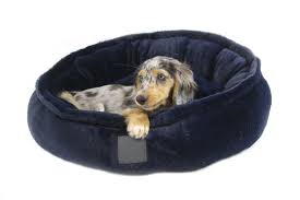 dog-baskets-and-blankets